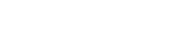 light logo